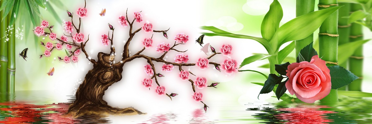 Розовое дерево бонсай